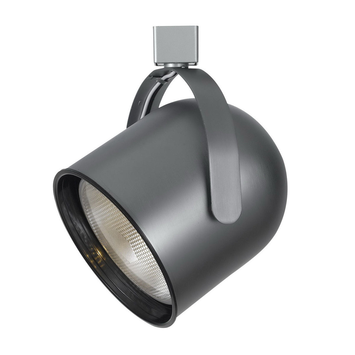 Line Voltage, Integrated Wire, Par38 - Brushed Steel