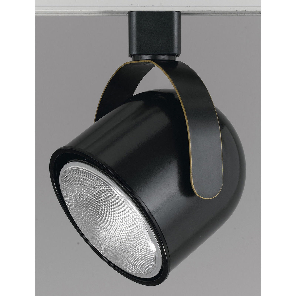 Par 30, Line Voltage Fixture - Dark Bronze
