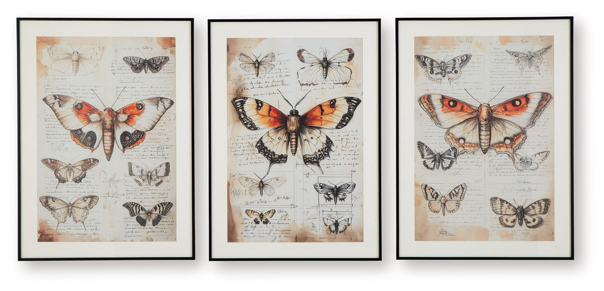 Jossletts - Wall Art Set (Set of 3) - Orange / Black / Ivory